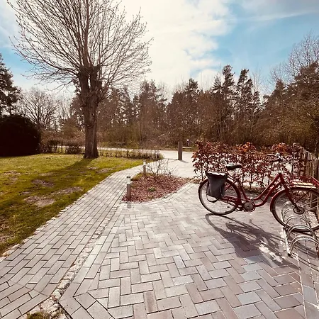 Fh Rosengang - Fuer 6 Personen, Kamin, Terrasse, Garten